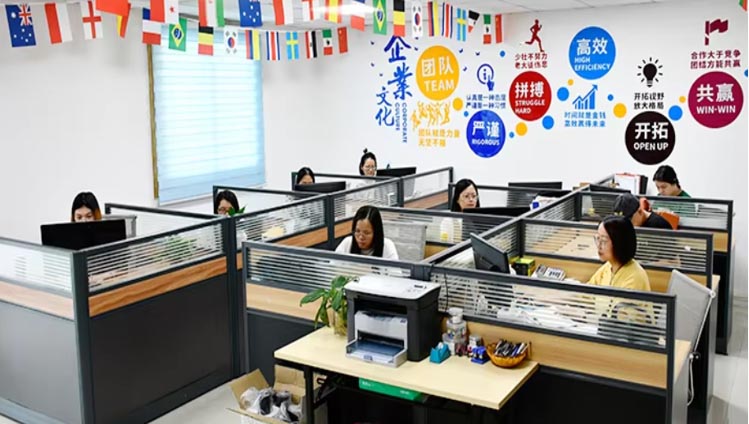 Professional Service Team