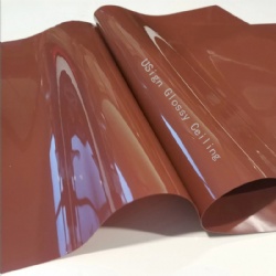 USIGN Glossy Ceiling