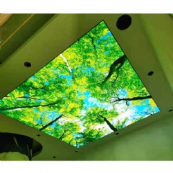 Flower Ceiling