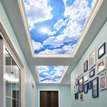 Art UV Printing Ceiling