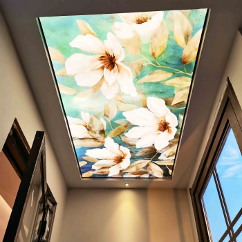 Art UV Printing Ceiling